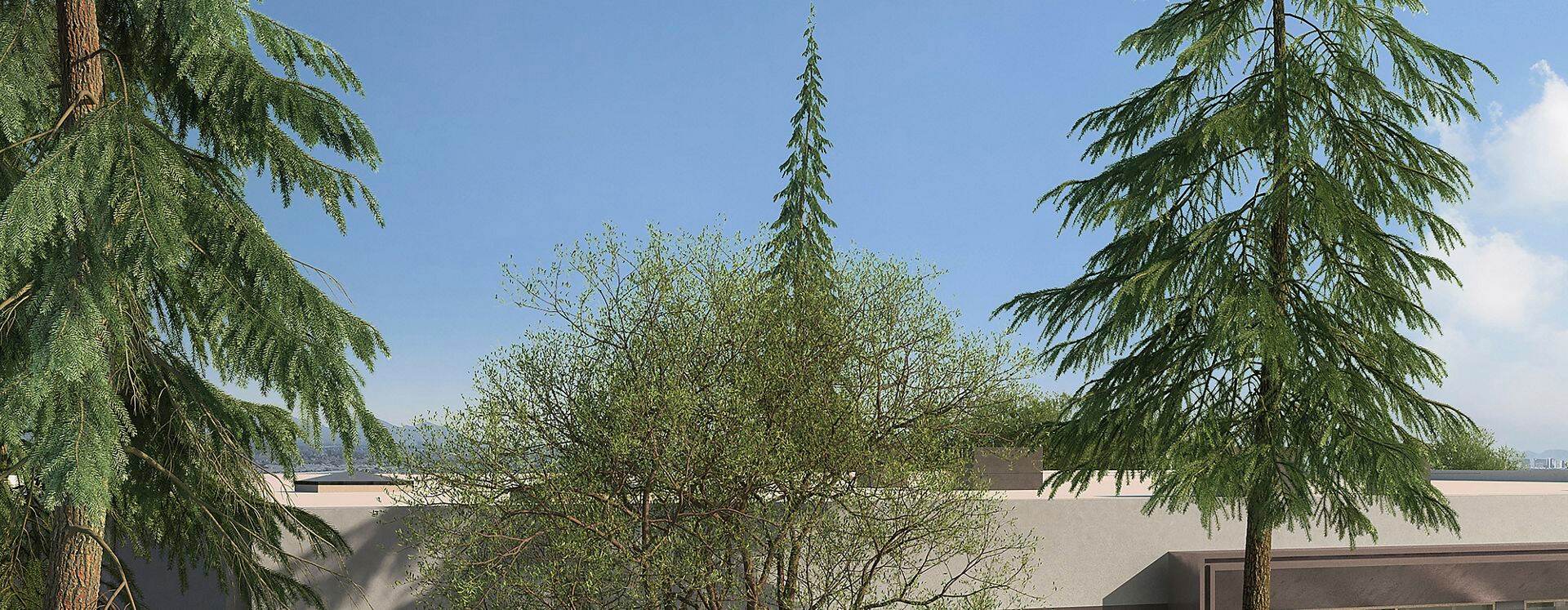 305 N Mathilda Office Space in Sunnyvale, CA